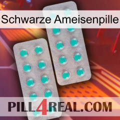 Black Ant Pill 29